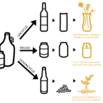 Upcycle Reuse Downcycle diagram from Bottle Underground