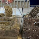 glass sand and soil mixture